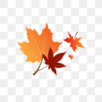 autumn maple leaf element design maple leaf clipart fall maple leaf element png, Maple Leaf Clipart, Fall maple leaf autumn vector art png