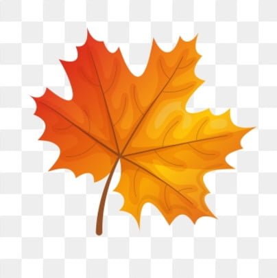 fall beginning of autumn autumn fallen leaves maple leaf clipart maple leaf red maple leaf png, Maple Leaf Clipart, Maple Leaf fall autumn leaves vector art png