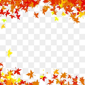 maple leaves autumn fall frame maple mapleleaves autumn png, Maple, Mapleleaves autumn maple leaves white transparent