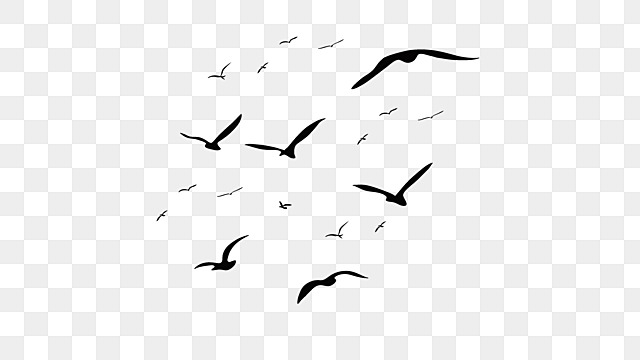 flock of birds silhouettes flying birds clipart bird group bird silhouette png, Bird Group, Bird flying bird flock silhouette png transparent