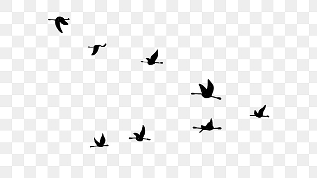 flock of birds silhouettes flying birds clipart bird group bird silhouette png, Bird Group, Bird flying bird flock silhouette vector png
