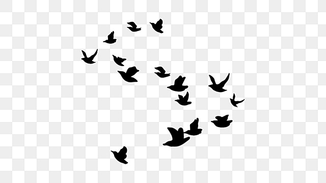 flock of birds silhouettes flying birds clipart bird silhouette clipart png, Bird, Silhouette flying bird flock silhouette png images