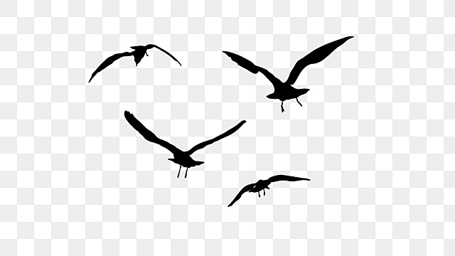 flock of birds silhouettes flying birds clipart bird group bird silhouette png, Bird Group, Bird flying bird flock silhouette png free