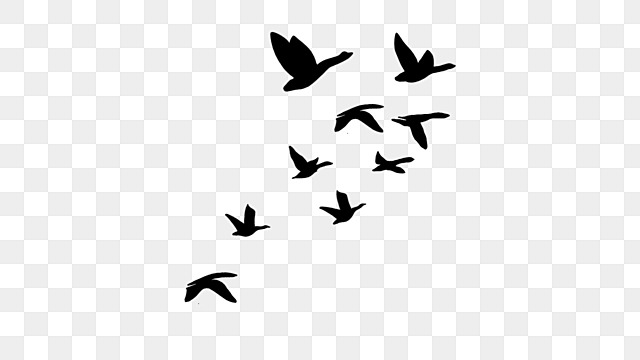 flock of birds silhouettes flying birds clipart bird group bird silhouette png, Bird Group, Bird flying bird flock silhouette transparent background
