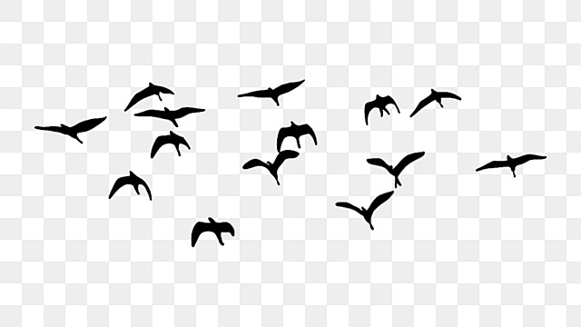 flock of birds silhouettes flying birds clipart bird group bird silhouette png, Bird Group, Bird flying bird flock silhouette vector png