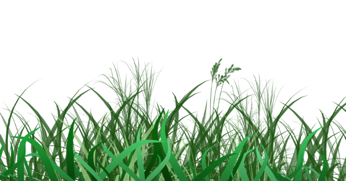 grass green realistic messy grass grass dark green messy png, Grass, Dark Green realistic grass png picture